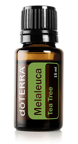 melaleuca